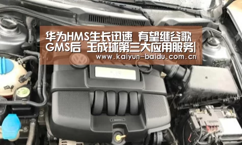 开云体育