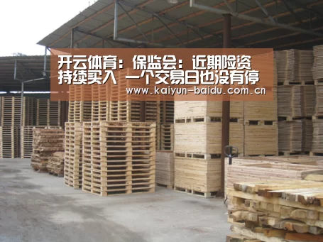 开云体育:保监会:近期险资持续买入 一个交易日也没有停(图3) 开云官网